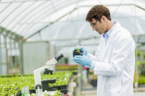 Read more about the article All about Agricultural Biochemistry Programmes